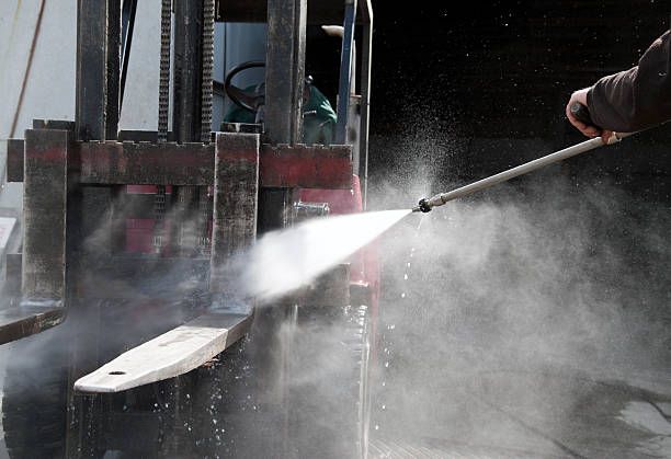 Best Driveway Pressure Washing  in Lahaina, HI